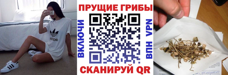 Псилоцибиновые грибы ЛСД Вилюйск